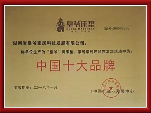 中國(guó)十大品牌